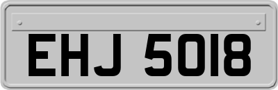 EHJ5018