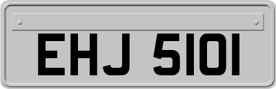 EHJ5101