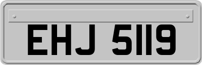 EHJ5119