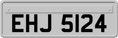 EHJ5124