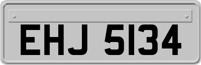 EHJ5134