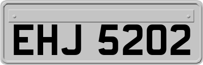EHJ5202