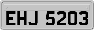 EHJ5203
