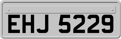 EHJ5229