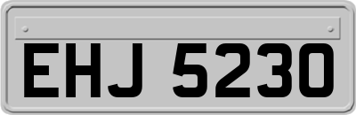 EHJ5230