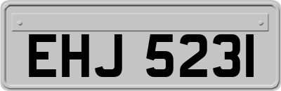 EHJ5231