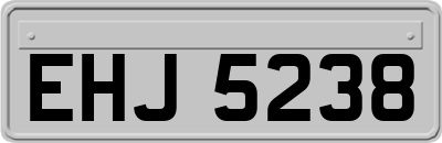 EHJ5238
