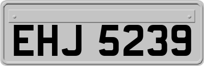 EHJ5239