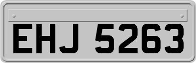 EHJ5263