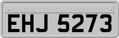 EHJ5273