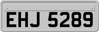 EHJ5289