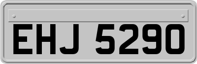 EHJ5290