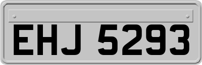 EHJ5293