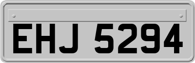 EHJ5294