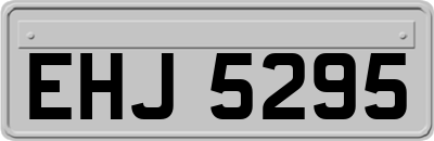 EHJ5295
