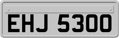 EHJ5300