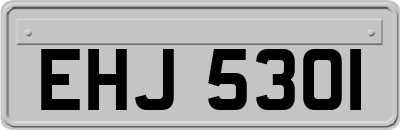 EHJ5301