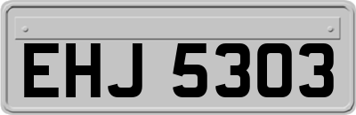 EHJ5303