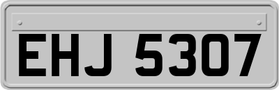 EHJ5307