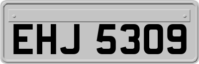 EHJ5309