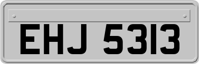 EHJ5313