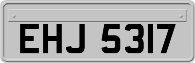 EHJ5317