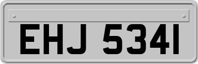 EHJ5341