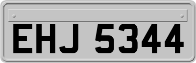 EHJ5344