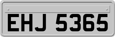 EHJ5365