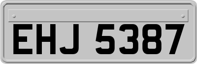 EHJ5387