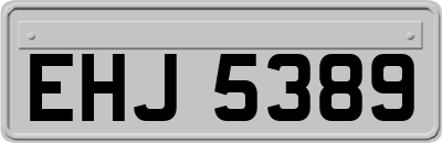 EHJ5389