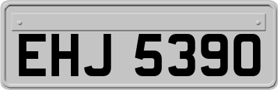 EHJ5390
