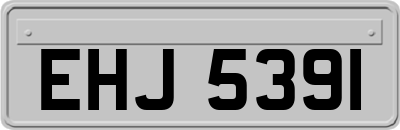 EHJ5391