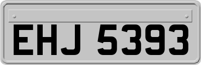 EHJ5393