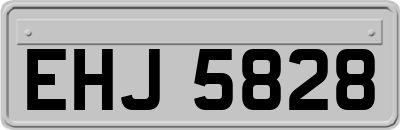 EHJ5828