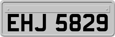 EHJ5829