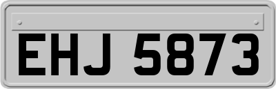 EHJ5873