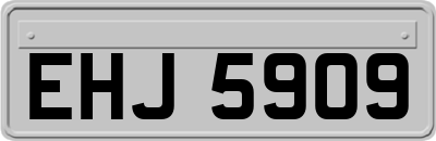 EHJ5909