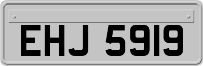 EHJ5919