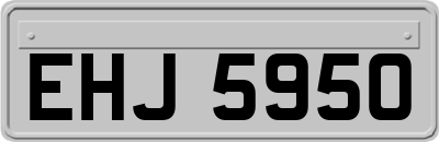 EHJ5950