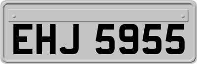 EHJ5955