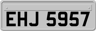 EHJ5957
