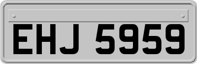EHJ5959