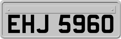 EHJ5960