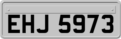 EHJ5973