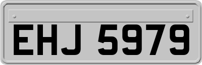 EHJ5979