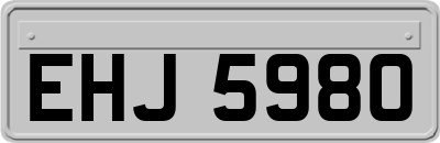 EHJ5980