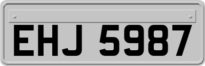 EHJ5987