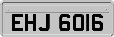 EHJ6016