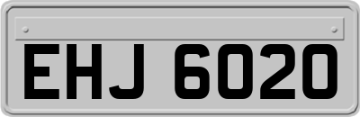 EHJ6020